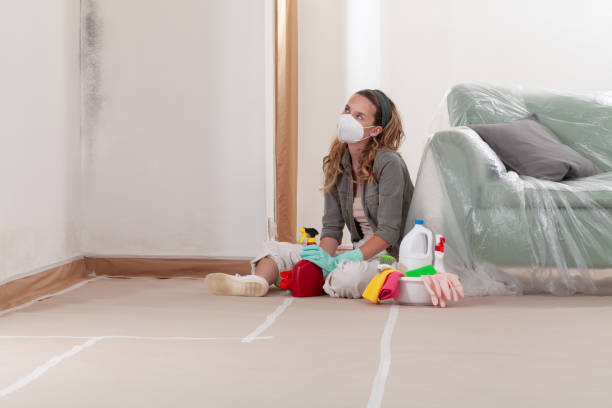 Reliable Mold Inspection contractor in Annandale, MN by WQB Mold Removal